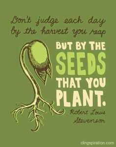 quote dont judge seeds