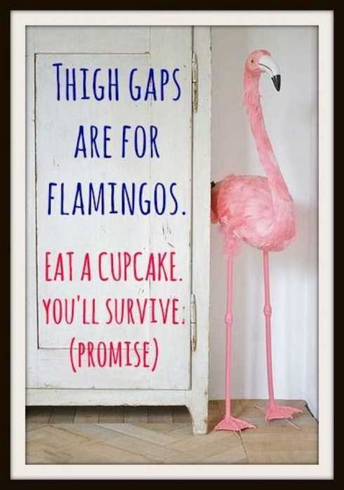 Snappy Funny Memes - flamingo thigh gap