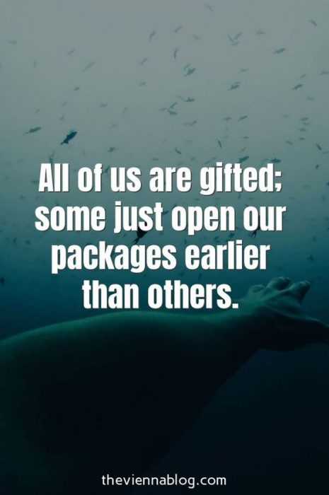 Motivational Quotes - everyone gifted