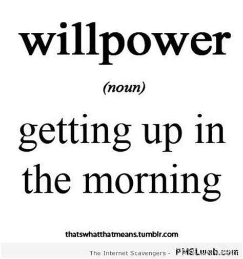29 Even More Funnier Quotes | 1funny willpower 29 Even More Funnier Quotes