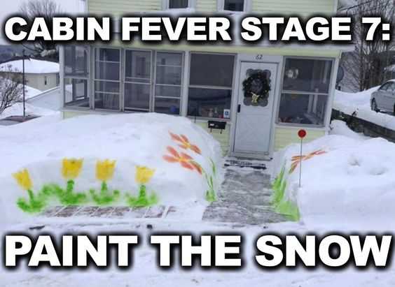 funny paint the snow