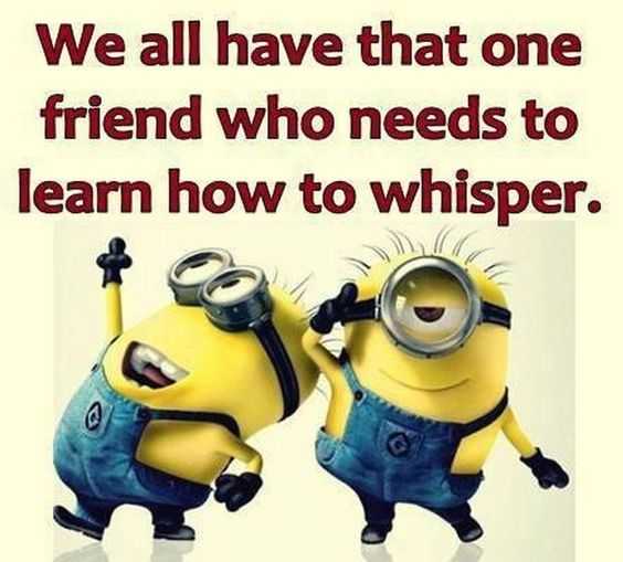 minion memes funny