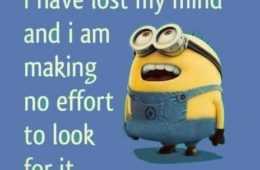 Minion Lost My Mind