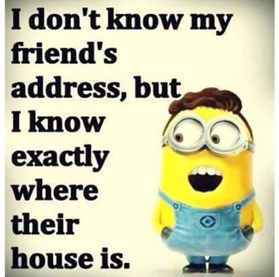 33 So Funny Minion Quotes and Pictures