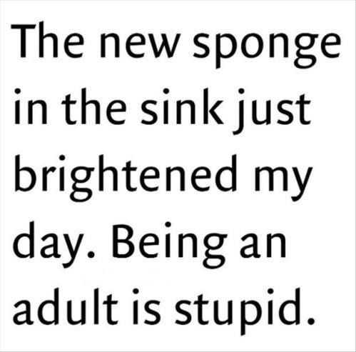 Hilarious Funny Adult Quotes - sponge