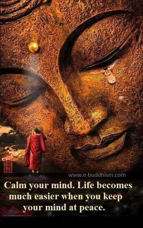 incredible quotes  life with calm mind is easier