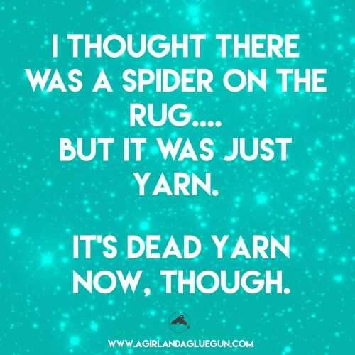 Hilarious Funny Quotes - arachnophobia