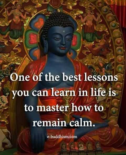 incredible quotes  remaining calm is an important life lesson