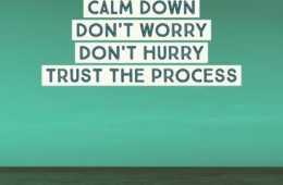 Quote Slow Down Hurry Count