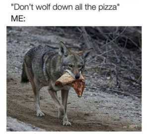 tumblr wolf pizza