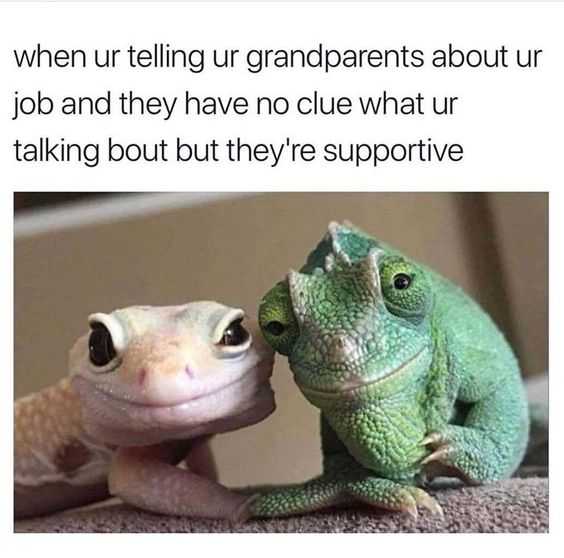 funny family memes  supportive grandparents