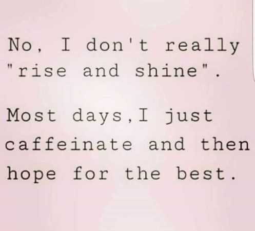 funny quotes about life in general - rise and shine
