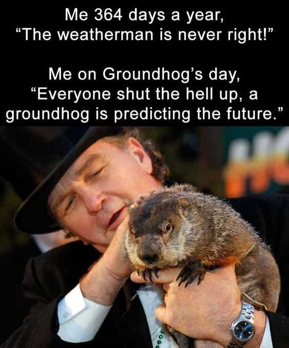 funny quotes about life in general - ground hog day