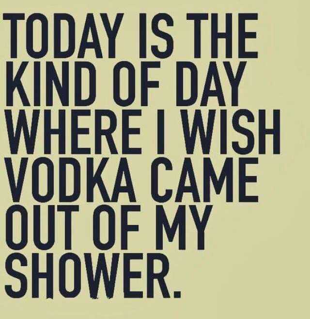 Funny Sayings About Life Vodka