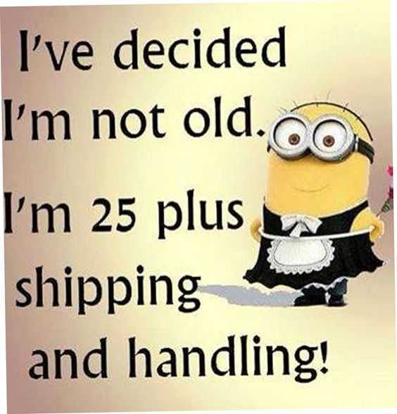 funny minion memes clean  too old