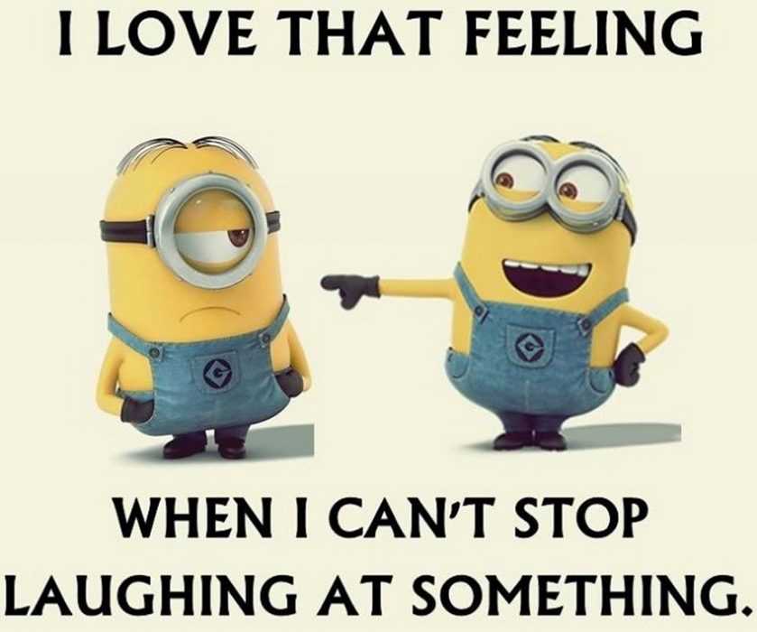 Minions Memes Funny  can't stand laughing