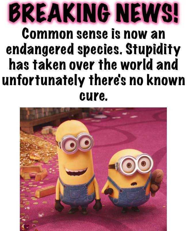 Minions Memes Funny  common sense