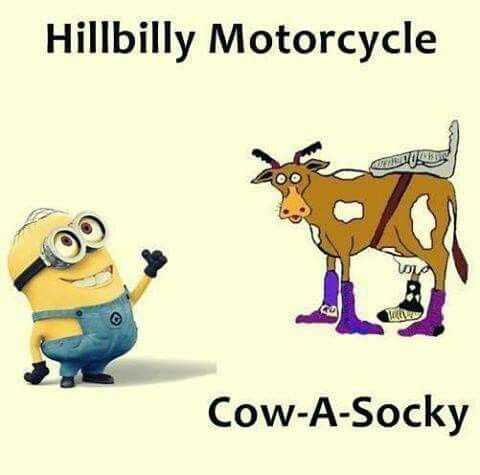 funny minions memes clean  hillbilly motorcycle