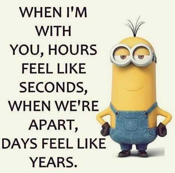 funny minion memes clean  together