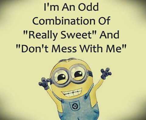 Minion Quotes and Memes  do not mess with me