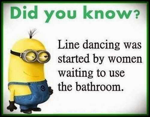 Minions Memes Funny  line dancing