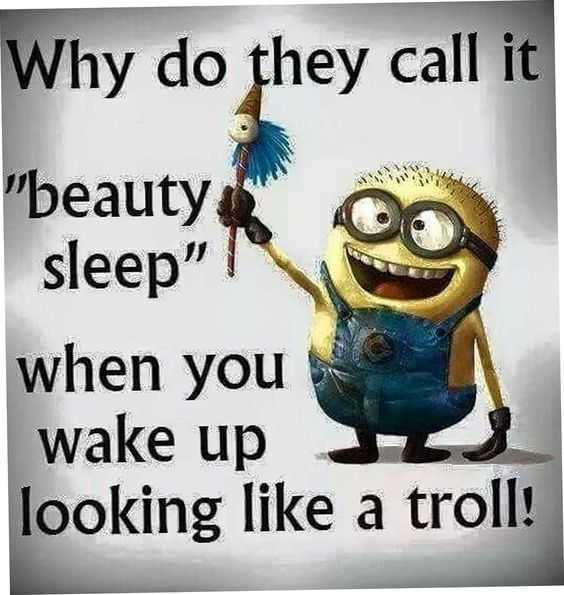 Minions Memes Funny  troll sleeping