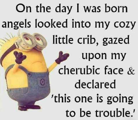 Minions Memes Funny  trouble