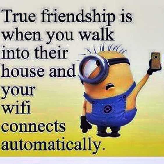 Minions Memes Funny  wifi friendship