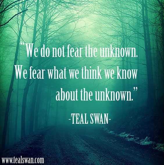 Worthy Inspirational Quotes  we fear unknown