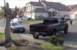 Mb 4X4 Vs Tree Yh1 1