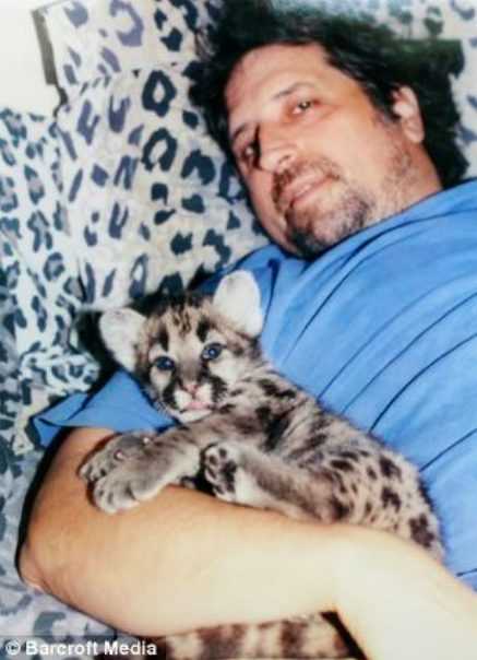 This Man Sleeps In The Arms Of A 200lb Mountain Lion And Considers Her Part Of The Family | Screen Shot 2018 03 16 at 11.03.58 PM This Man Sleeps In The Arms Of A 200lb Mountain Lion And Considers Her Part Of The Family