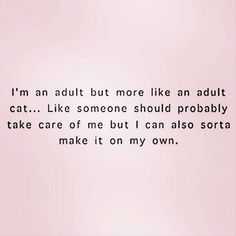 Funny Quotes About Life  Adult
