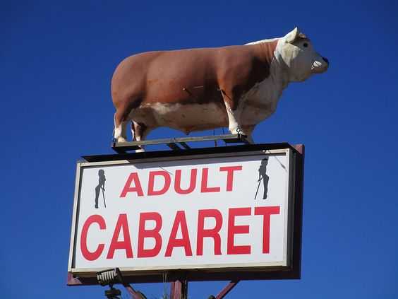 funny signs  adult cabaret