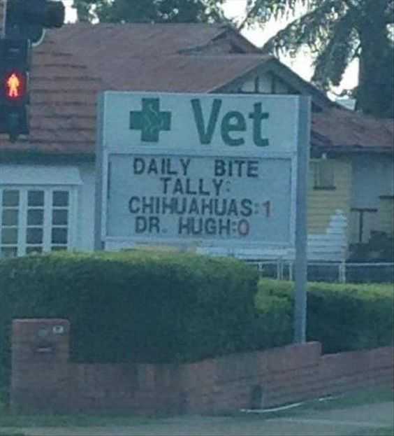 funny signs meme  vet