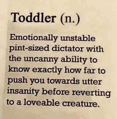 Funny Quote About Life  Toddler