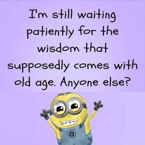 funny minion quotes about life  wisdom