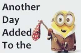 Minion Another Day