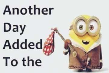 Minion Another Day