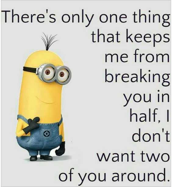 Minion quotes funny jokes  two of you