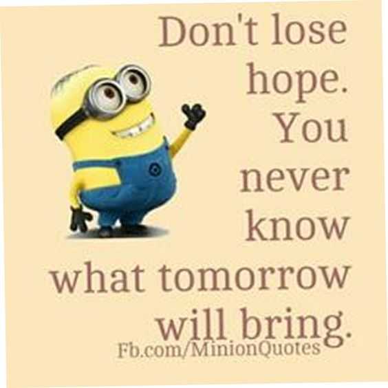 minion dont give hope