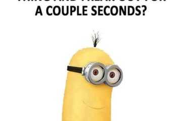 Minion Dont Know