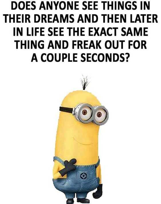 funny minion quotes about life  deja vu