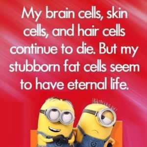 minion fat cells