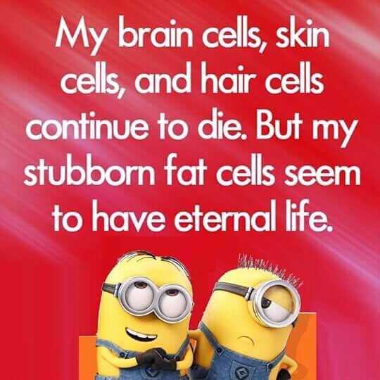 new Minions quotes