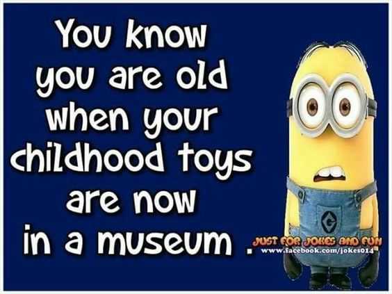 funny minion quotes about life  aging