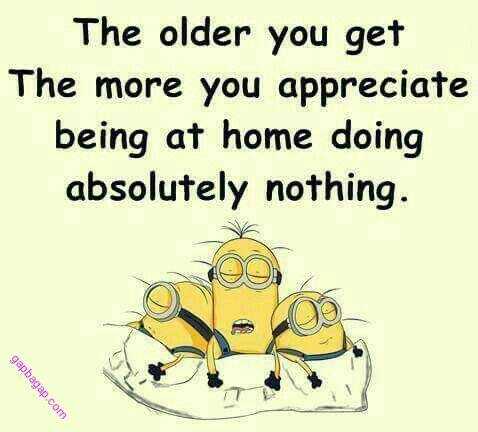 Hilarious Minions Quotes with Attitude  aging