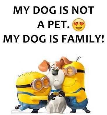 minion pet family