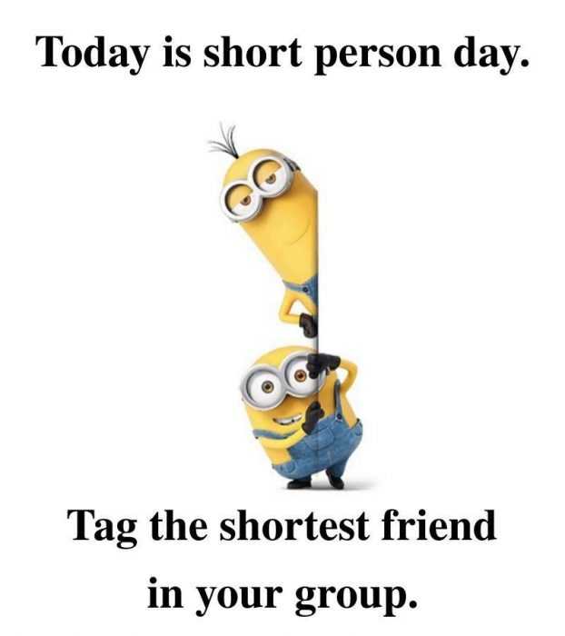 Great Minion Quotes  Short person
