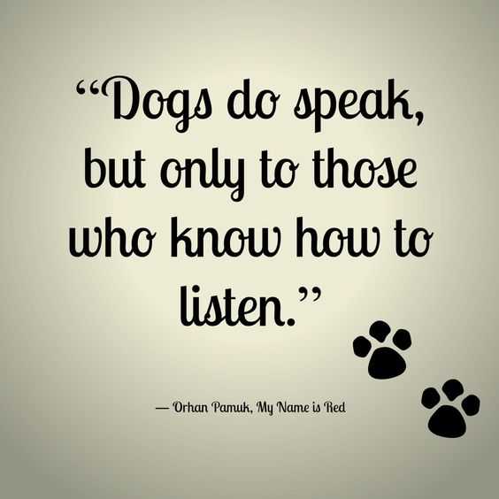 dog lover quotes  dog speak