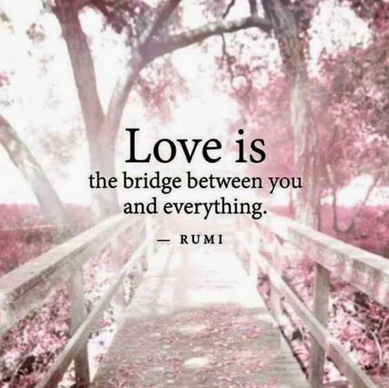 amazing inspirational thought  love